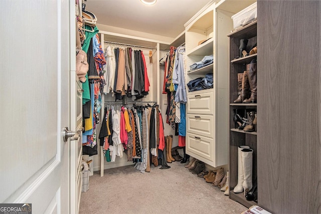 walk in closet featuring carpet