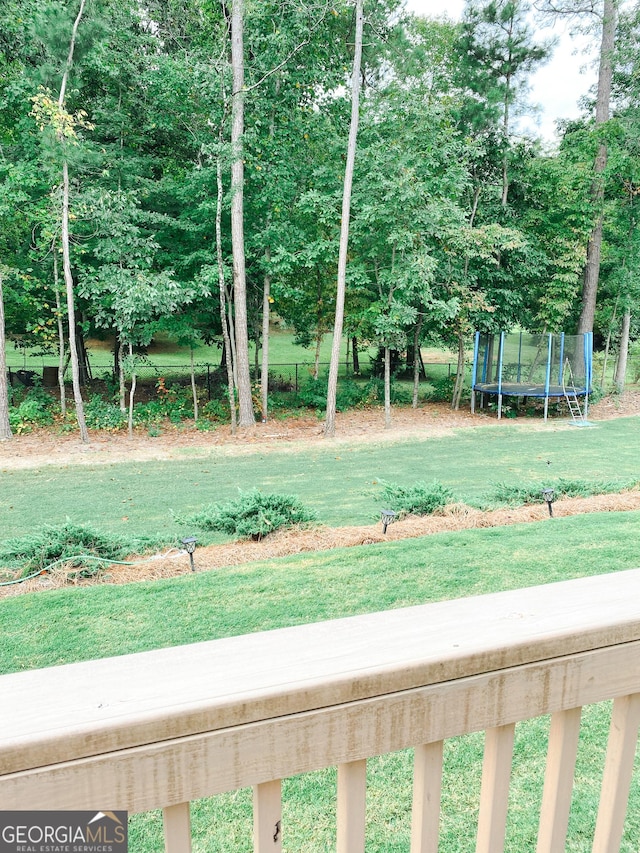 5745 Pickens Garden Ln, Powder Springs, GA 30127 - view of green lawn featuring a trampoline