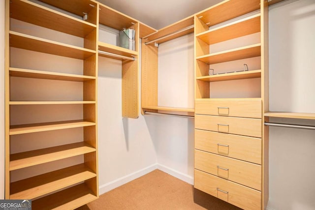 195 14th St NE Ph 306, Atlanta, GA 30309 - walk in closet with light colored carpet