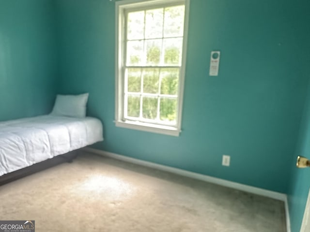 78 Ramblin Rose Ln, Rabun Gap, GA 30568 - carpeted bedroom with multiple windows and baseboards