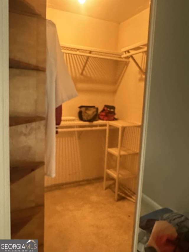78 Ramblin Rose Ln, Rabun Gap, GA 30568 - spacious closet featuring carpet