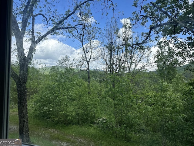 78 Ramblin Rose Ln, Rabun Gap, GA 30568 - view of tree filled area