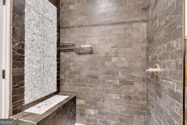 2285 Bascomb Carmel Rd, Woodstock, GA 30189 - bathroom featuring a tile shower