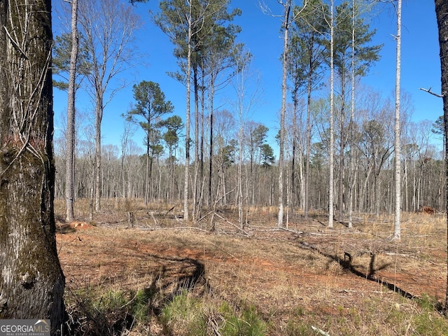 659 Giles Rd, Forsyth, GA 31029