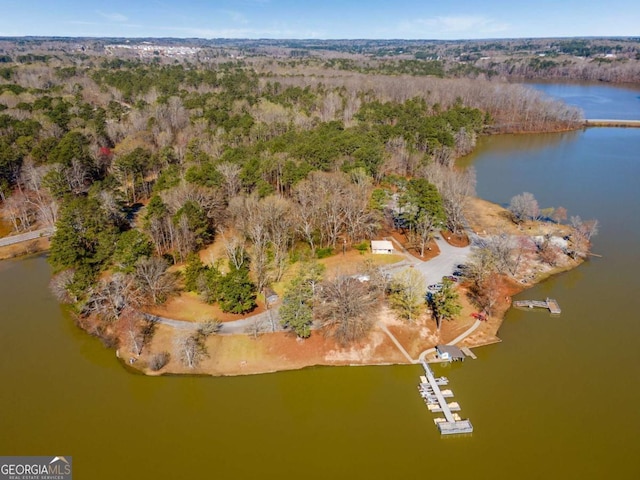 3475 Summerlin Pkwy, Lithia Springs, GA 30122 - birds eye view of property with a forest view and a water view