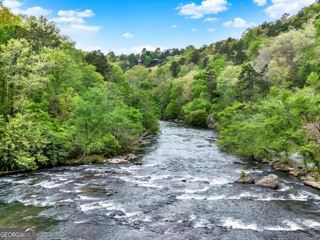 27 Alpine Dr Unit 3625, Ellijay, GA 30540 - water view featuring a forest