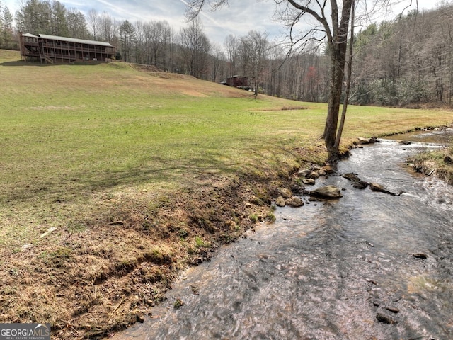view of yard with a wooded view