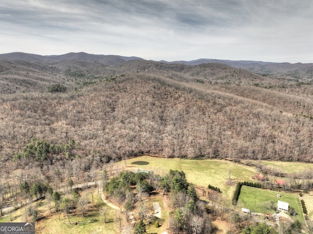 mountain view