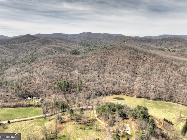 property view of mountains