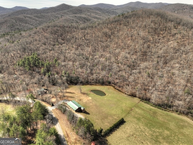 bird's eye view featuring a mountain view