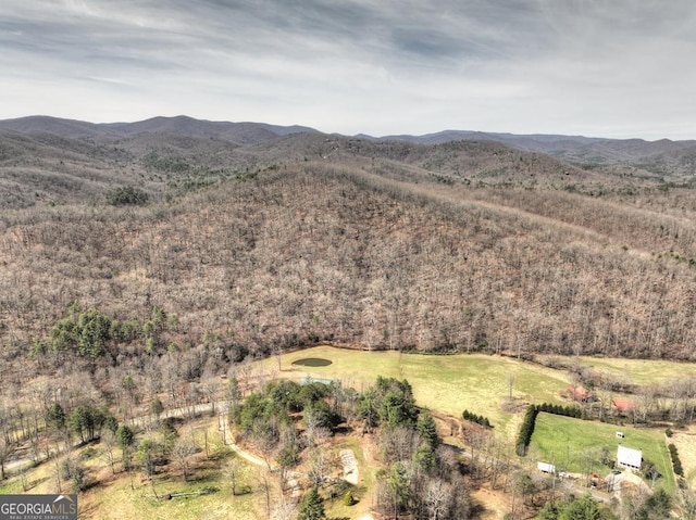 view of mountain feature
