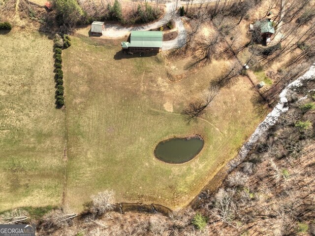 drone / aerial view