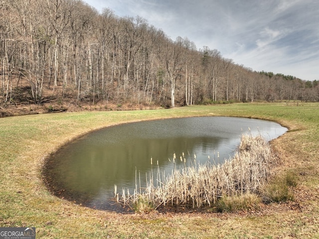 water view featuring a wooded view