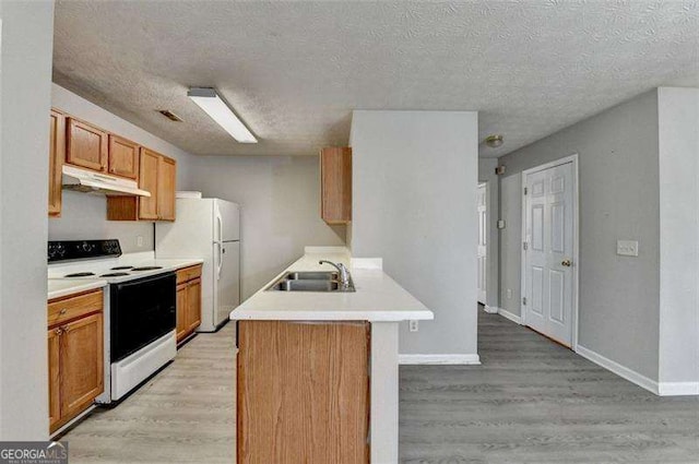 2892 Norfair Loop NE, Lithonia, GA 30038 - kitchen with light countertops, white appliances, under cabinet range hood, a sink, and light wood-style floors