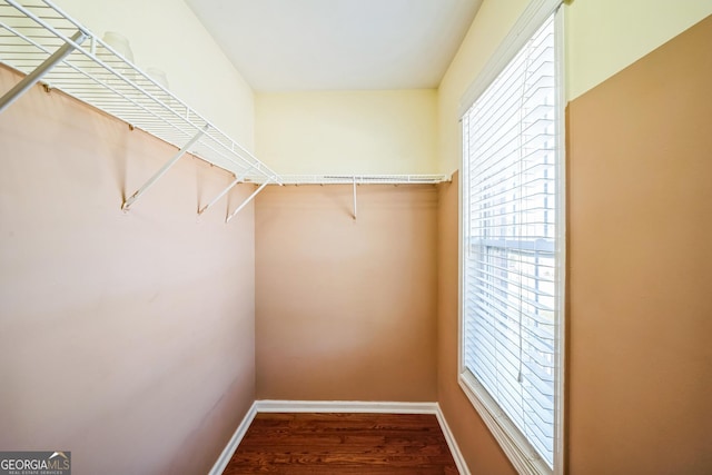 spacious closet featuring wood finished floors