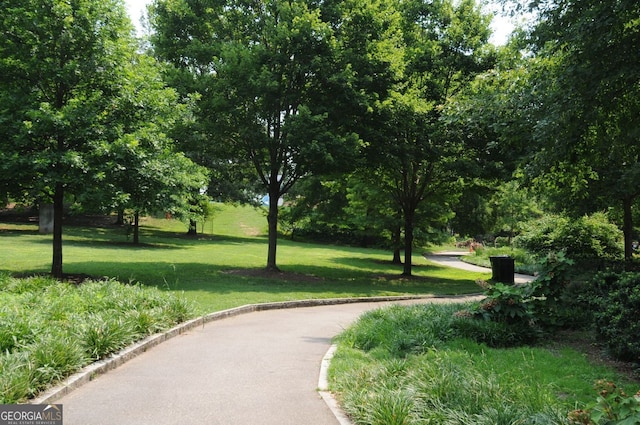 view of property's community featuring a yard