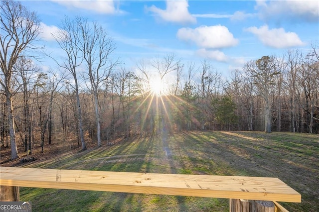 1759 Moccasin Gap Rd, Lula, GA 30554 - view of yard