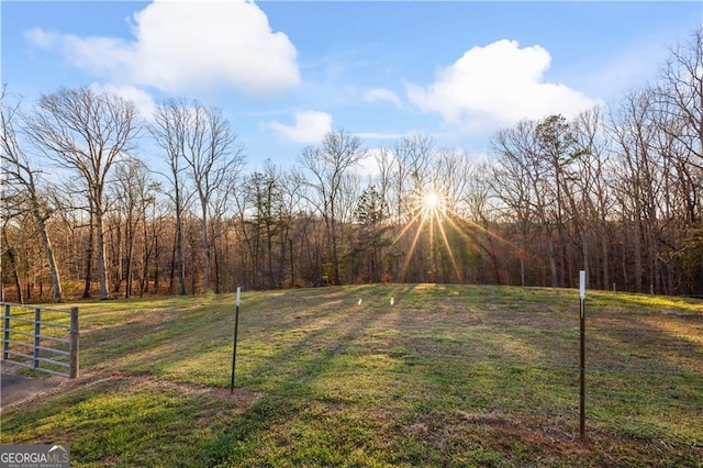 1759 Moccasin Gap Rd, Lula, GA 30554 - view of yard with fence and a forest view