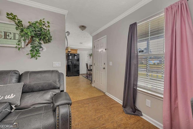 104 Sugar Maple Way, Kingsland, GA 31548 - living area with ornamental molding, baseboards, and light wood-style floors