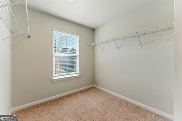 walk in closet with carpet