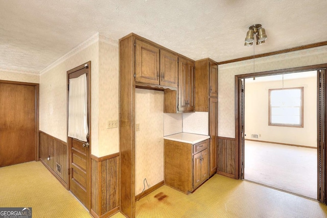 kitchen with a textured ceiling, brown cabinetry, wainscoting, and light colored carpet