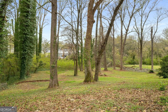 3069 Thrasher Cir, Decatur, GA 30032 - view of green lawn