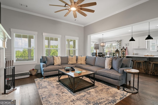 living room with baseboards, ceiling fan with notable chandelier, visible vents, ornamental molding, and dark wood-style flooring