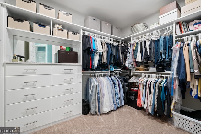walk in closet featuring carpet flooring
