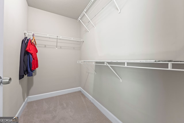 104 Nugget Ln, Ellijay, GA 30540 - walk in closet featuring carpet