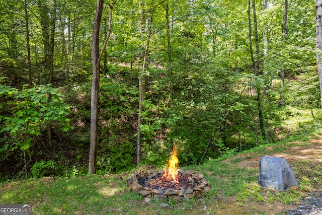 104 Nugget Ln, Ellijay, GA 30540 - view of tree filled area