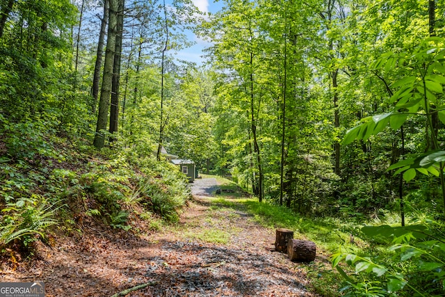 104 Nugget Ln, Ellijay, GA 30540 - view of woods