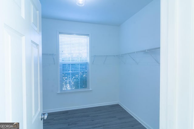 spacious closet with wood finished floors