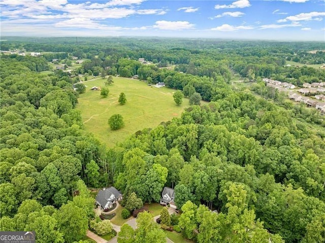 5055 Hamptons Club Dr, Alpharetta, GA 30004 - bird's eye view of a forest