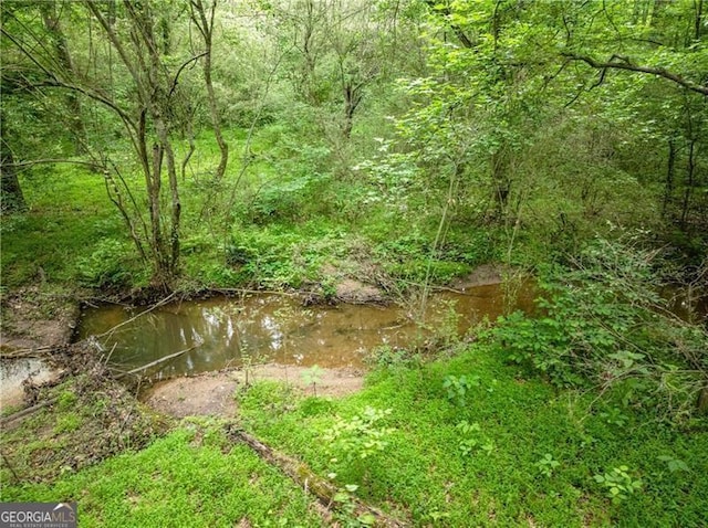 5055 Hamptons Club Dr, Alpharetta, GA 30004 - view of wooded area