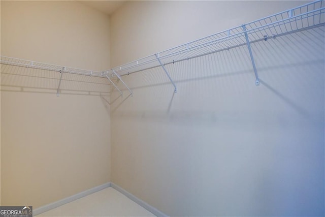 190 Crown Pointe Dr, Dawsonville, GA 30534 - view of spacious closet