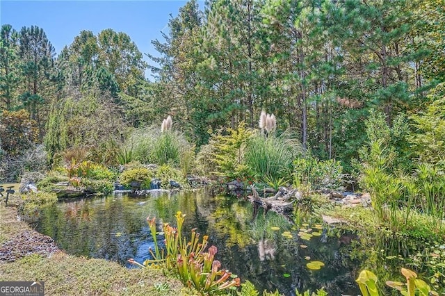 190 Crown Pointe Dr, Dawsonville, GA 30534 - water view