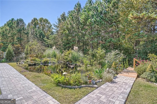 190 Crown Pointe Dr, Dawsonville, GA 30534 - view of yard