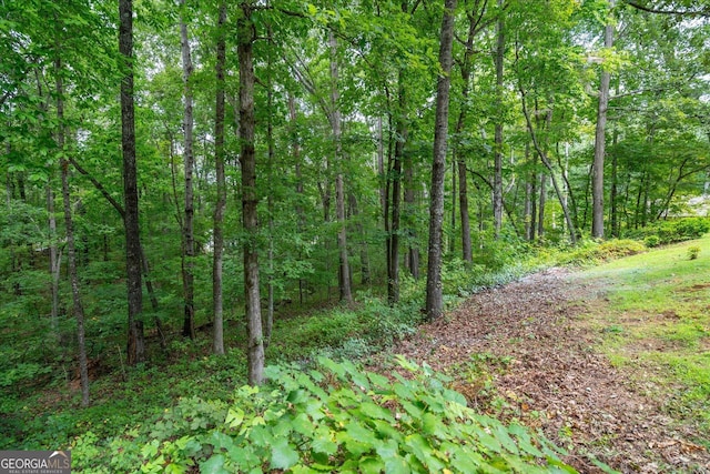view of local wilderness featuring a forest view