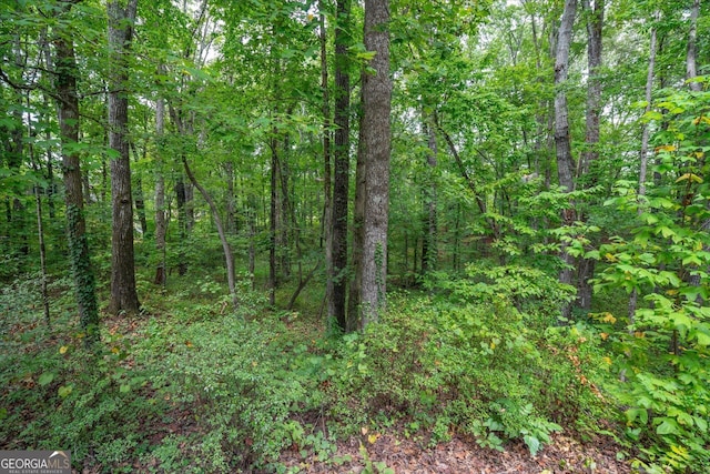 view of local wilderness featuring a view of trees
