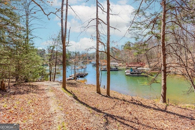 4660 Perry Rd, Gainesville, GA 30506 - water view featuring a boat dock