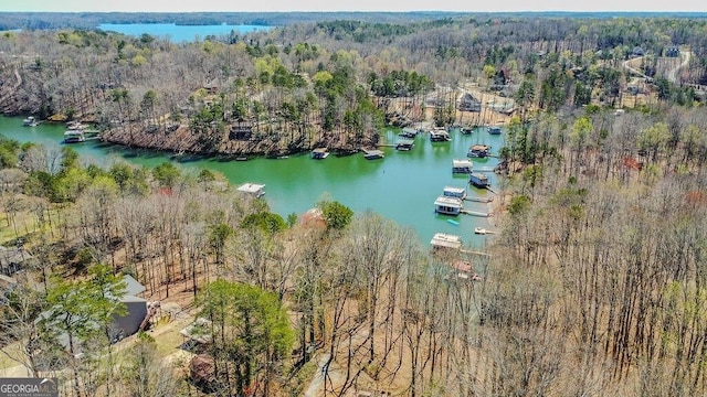 4660 Perry Rd, Gainesville, GA 30506 - bird's eye view of a heavily wooded area and a nearby body of water