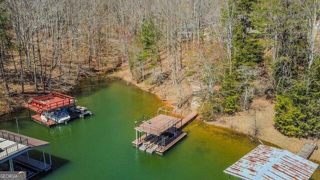 4660 Perry Rd, Gainesville, GA 30506 - bird's eye view of a nearby body of water