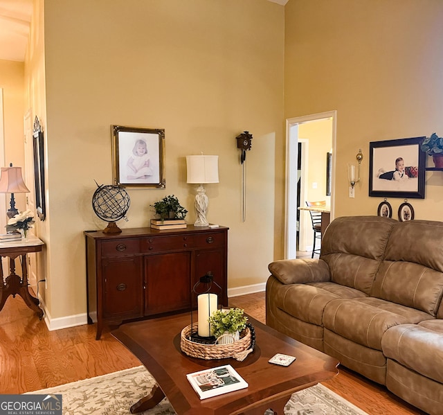 198 Oakdale Rd SE, Cairo, GA 39828 - living area featuring baseboards, a towering ceiling, and light wood-style flooring