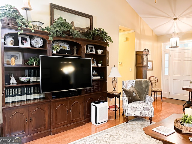 198 Oakdale Rd SE, Cairo, GA 39828 - living area featuring light wood finished floors and lofted ceiling