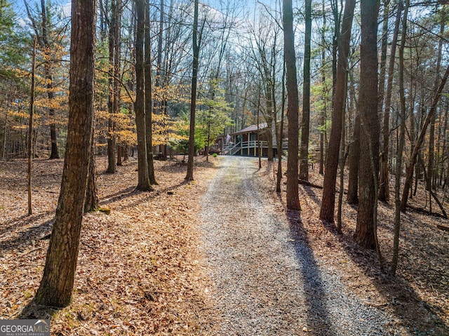 335 Misty Hollow Rd, Ellijay, GA 30536 - view of dirt / gravel road