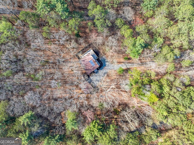 335 Misty Hollow Rd, Ellijay, GA 30536 - drone / aerial view