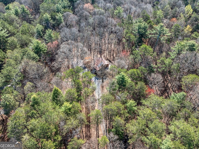 335 Misty Hollow Rd, Ellijay, GA 30536 - drone / aerial view of a heavily wooded area