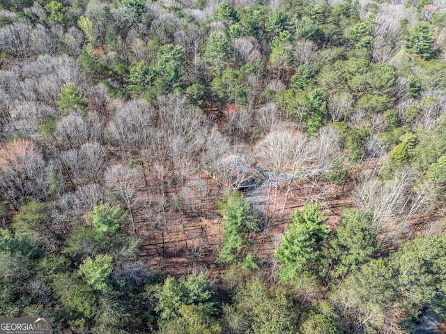 335 Misty Hollow Rd, Ellijay, GA 30536 - aerial view