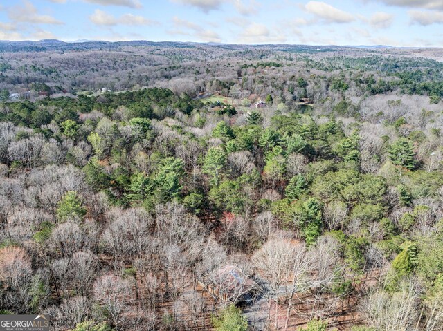 335 Misty Hollow Rd, Ellijay, GA 30536 - bird's eye view of a forest