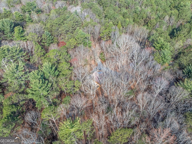 335 Misty Hollow Rd, Ellijay, GA 30536 - aerial view of property's location featuring a heavily wooded area